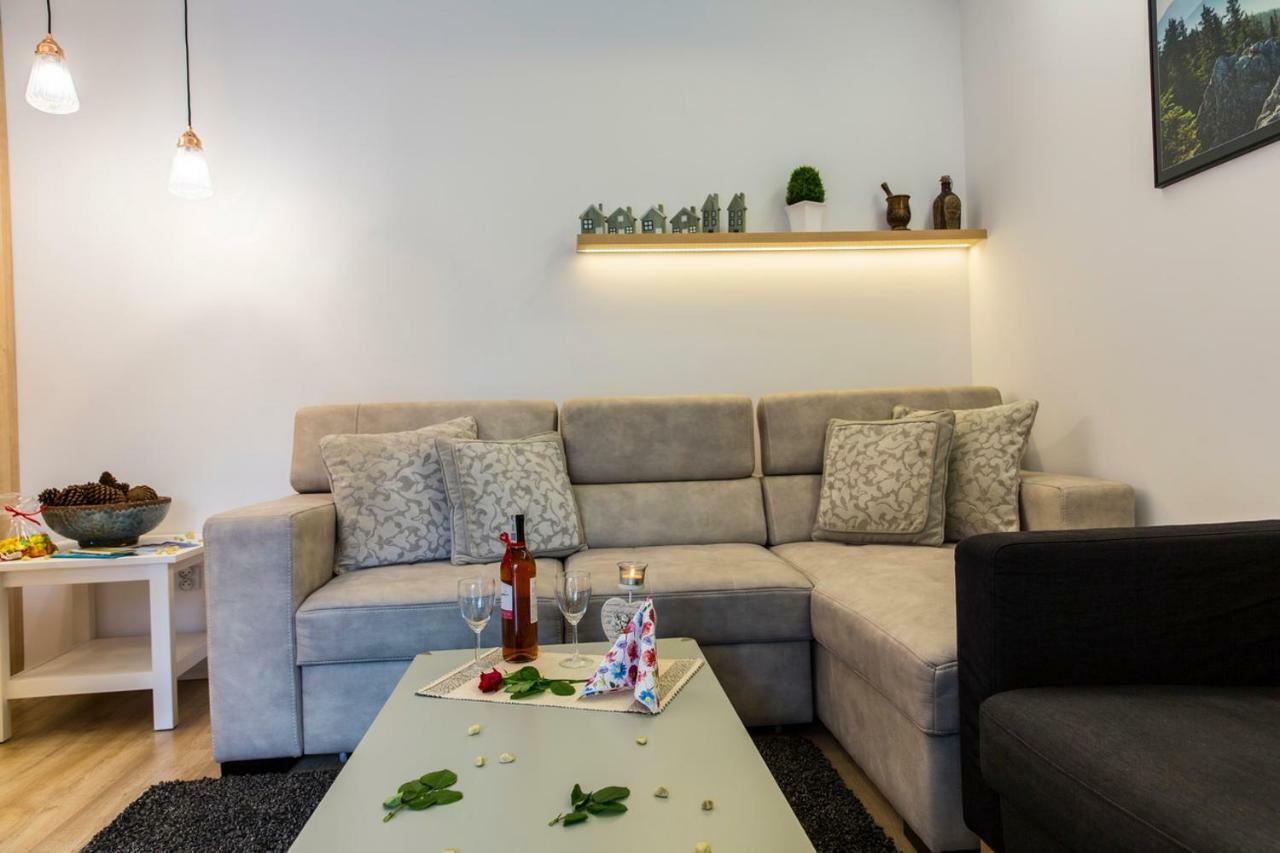 Apartament Pajo I -Rezydencja Tatry--Grota Solna--Taras--Garaz Podziemny Zakopane Luaran gambar
